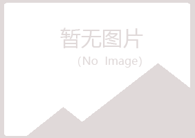 宏伟区夜山机械有限公司